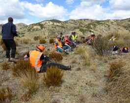 Volunteer Day November 2014