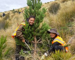 Volunteer day March 2019