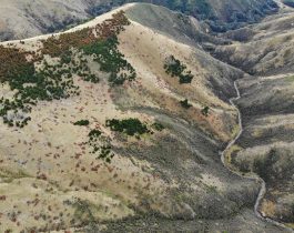 Aerial inspection May 2019
