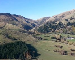 NZ wilding conifer management group – April 2016