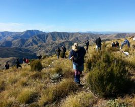 NZ wilding conifer management group – April 2016