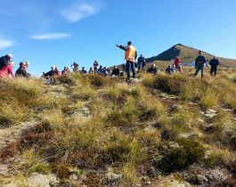 NZ wilding conifer management group – April 2016