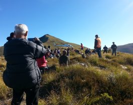 NZ wilding conifer management group – April 2016