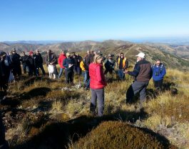 NZ wilding conifer management group – April 2016