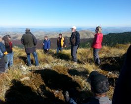 NZ wilding conifer management group – April 2016