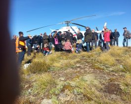 NZ wilding conifer management group – April 2016