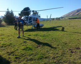 NZ wilding conifer management group – April 2016