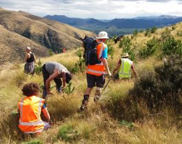 Volunteer Day March 2017