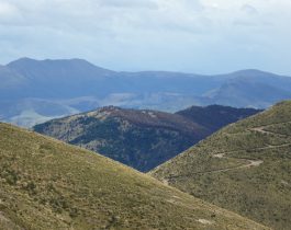 Volunteer Day March 2016