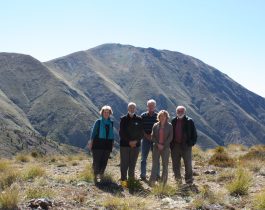 Trustees and partners over time