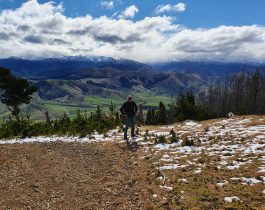 South Marlborough Landscape Restoration Trust visit