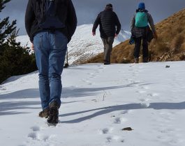 South Marlborough Landscape Restoration Trust visit