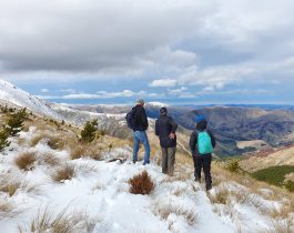 South Marlborough Landscape Restoration Trust visit